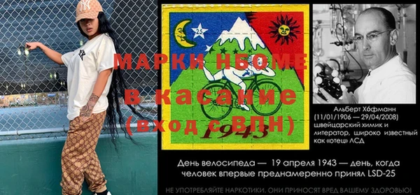 шишки Володарск