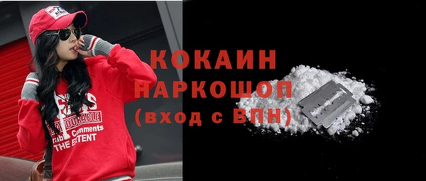 шишки Володарск