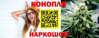 гидропоника Дубна