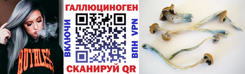 блэк спрут ССЫЛКА  сколько стоит  Омск  Псилоцибиновые грибы Psilocybine cubensis 