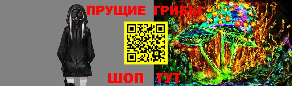 Галлюциногенные грибы Psilocybine cubensis  Вход с VPN  Омск 